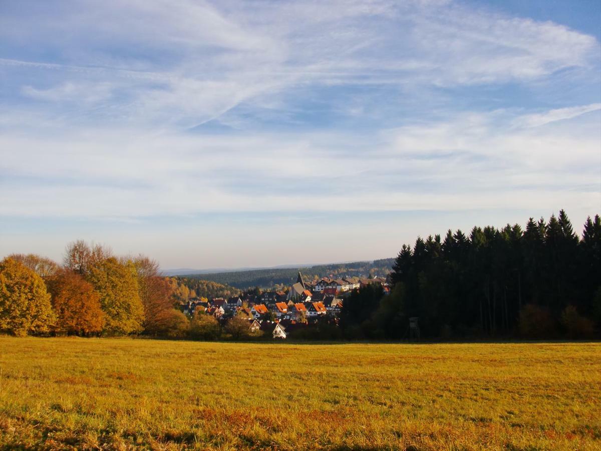 Ferienwohnung Arnika Inklusive Waeschepaket Braunlage Exterior photo